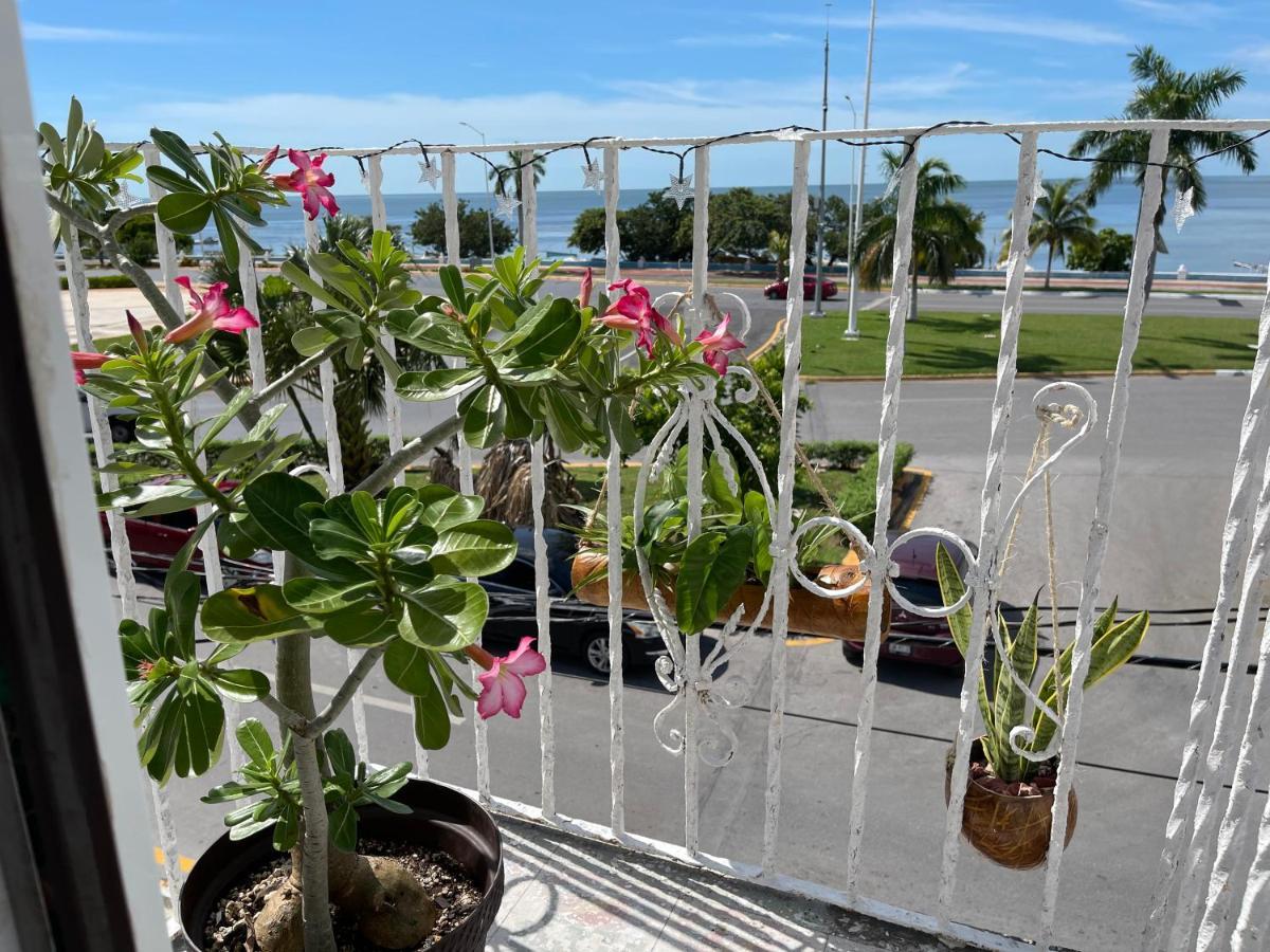 La Casa Del Colibri Apartman Campeche Kültér fotó