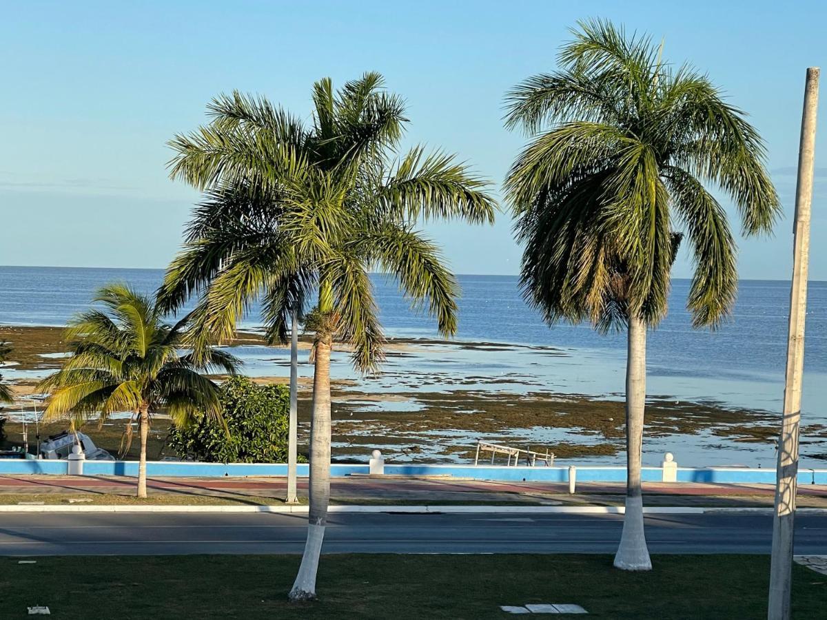 La Casa Del Colibri Apartman Campeche Kültér fotó